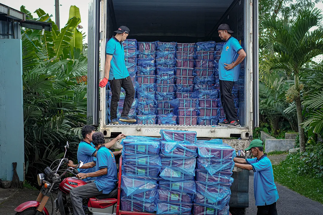 HAFA Cargo crew loading blue-wrapped parcels into a truck.
