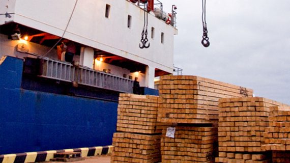 Mengirim Produk Kayu Dengan Cargo: Cek Kelengkapan Dokumennya